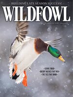 Wildfowl